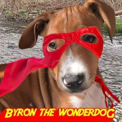 This category is run by @Byron.